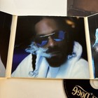 Picture 6 of 9