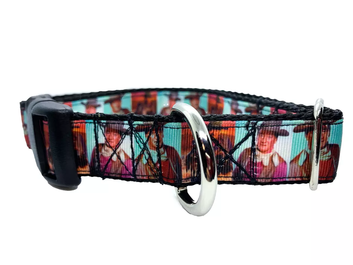 Duke hot sale dog collar