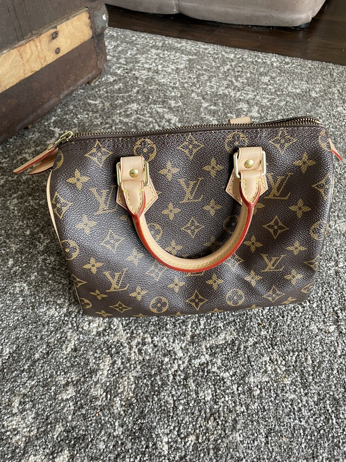 Louis Vuitton Speedy 25