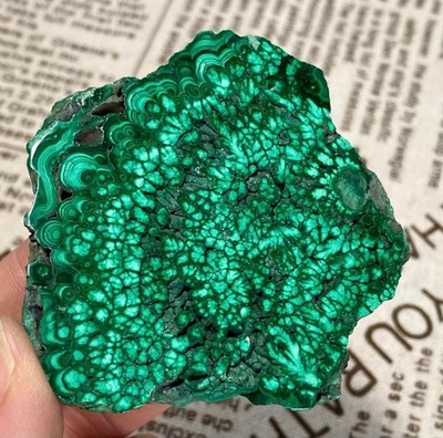 63g Natural malachite slice quartz crystal luster mineral specimen
