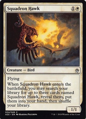 Squadron Hawk C Masters 25 34 NM