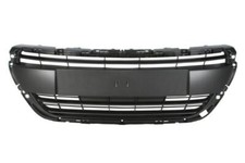 Grille de radiateur BLIC 6502-07-5509992P pour PEUGEOT