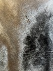 Bild 11 von 18