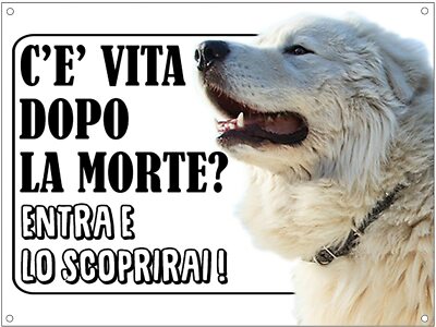 Decorazione Originale Targa Metallo Lovelytiles - ATTENTI Al Cane Rottweiler Con Scritta 'Esiste La Vita Dopo La Morte?' Insegna Divertente - 7