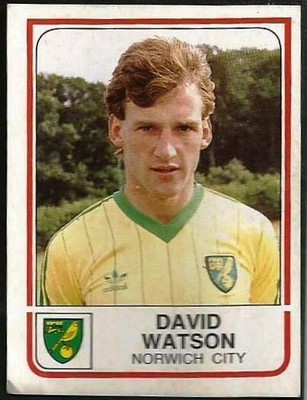 Panini Football 84 - #173 - Norwich City - David Watson