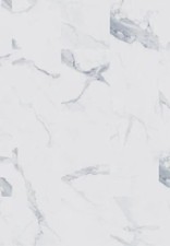 STAINMASTER Glacier Calacatta 24-in L x 12-mil x 12-in W x Waterproof Marble...