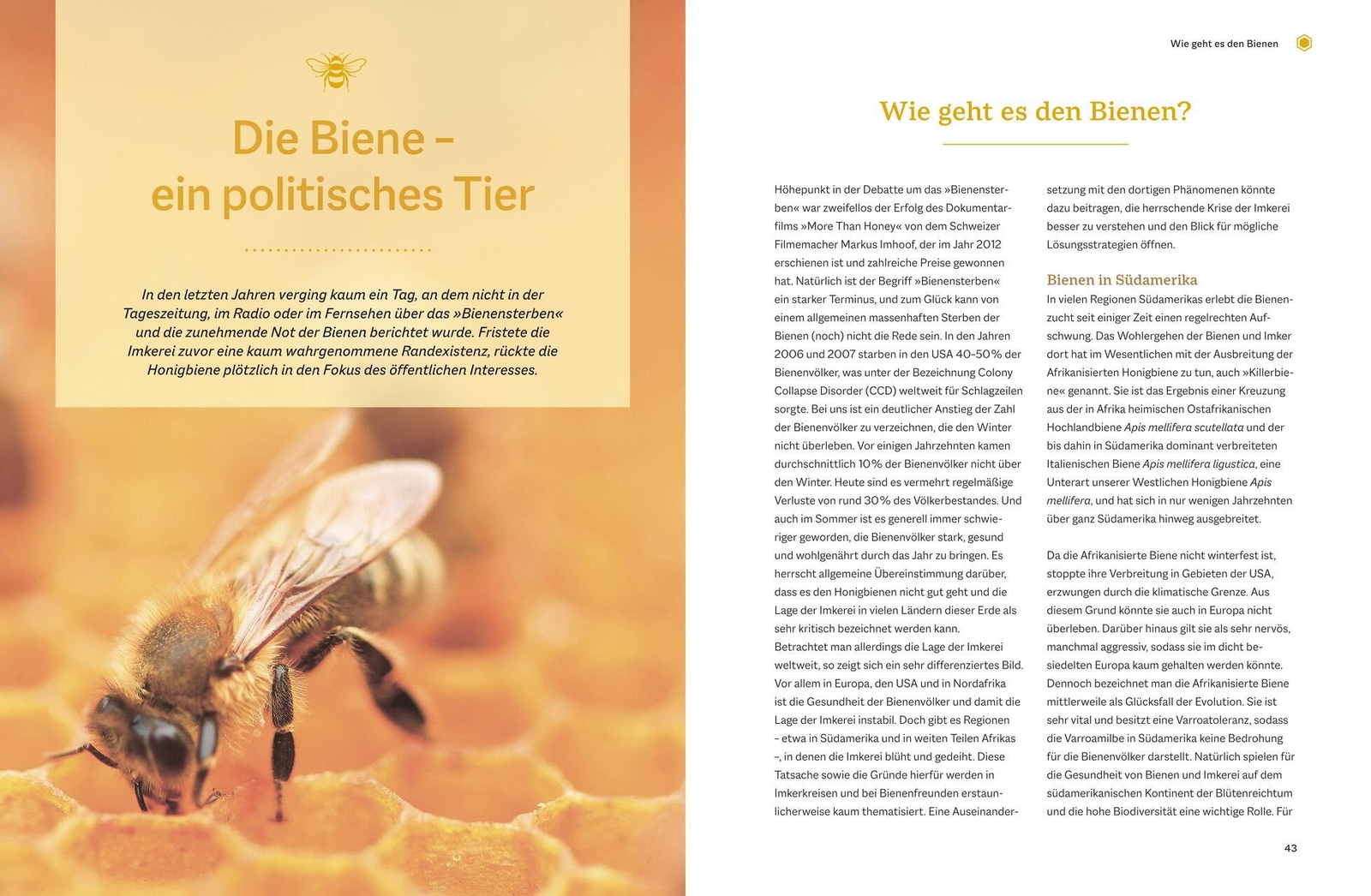 Thumbnail - Bienengemäß Imkern Günter Friedmann 9783835415447
