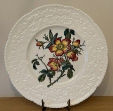 ROYAL CAULDON HAYWOOD BRIAR ROSE BRISTOL IRONSTONE PLATE