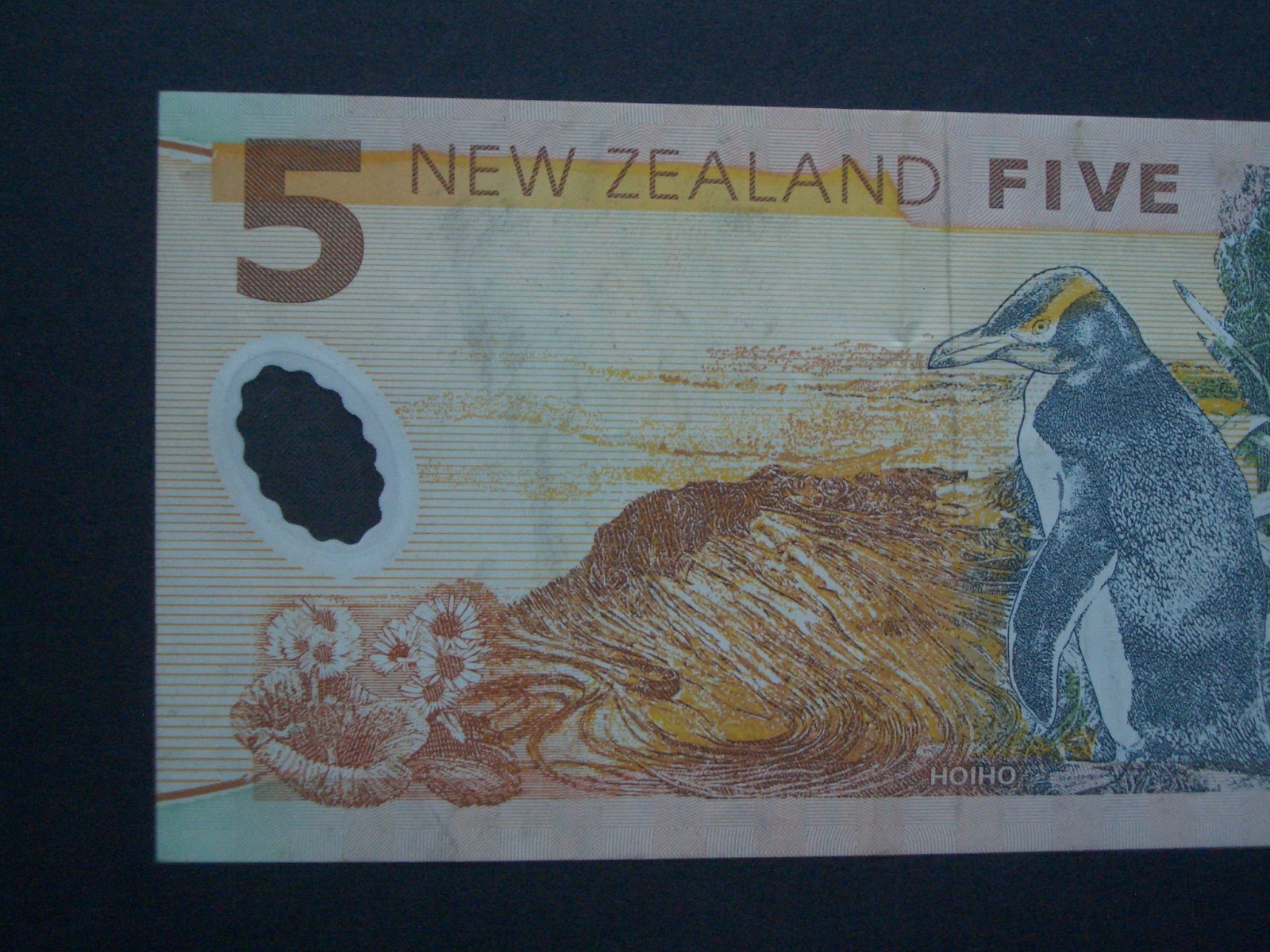 Picture 6 of 6