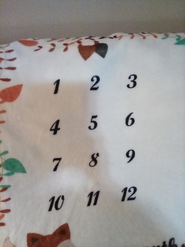 60" X 38" Baby Monthly Milestone Photo Blanket White Fleece Red Fox Leaves - Picture 6 of 6