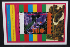 NETHERLANDS 1996 Spring Flowers: Crocuses. SOUVENIR SHEET. MNH. SGMS1791.