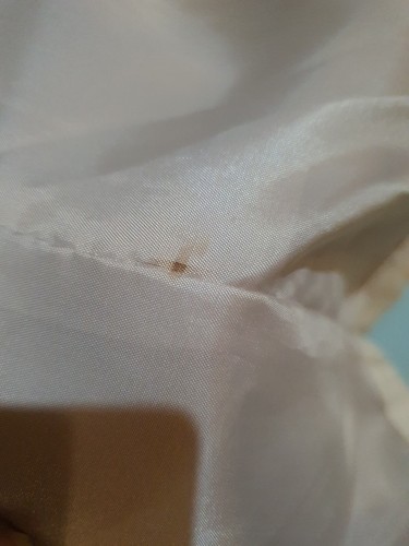 Erwachsenen Damen Langarm Mantel Jacke Trenchcoat Gr. S Staccato ( 1431 )  - Picture 20 of 21