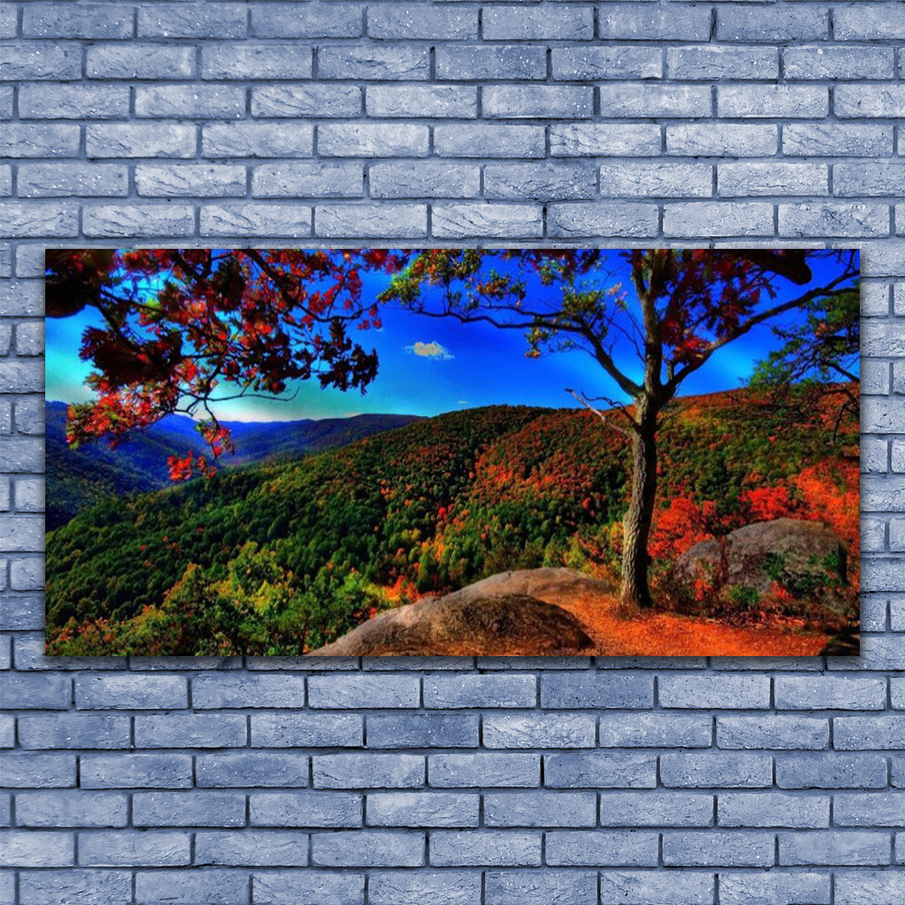 Tableau nature forêt et montagne sous verre pour grand salon