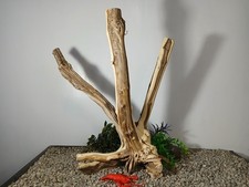 Driftwood aquarium fish  reptiles 20x23" natural Manzinita Stump decor