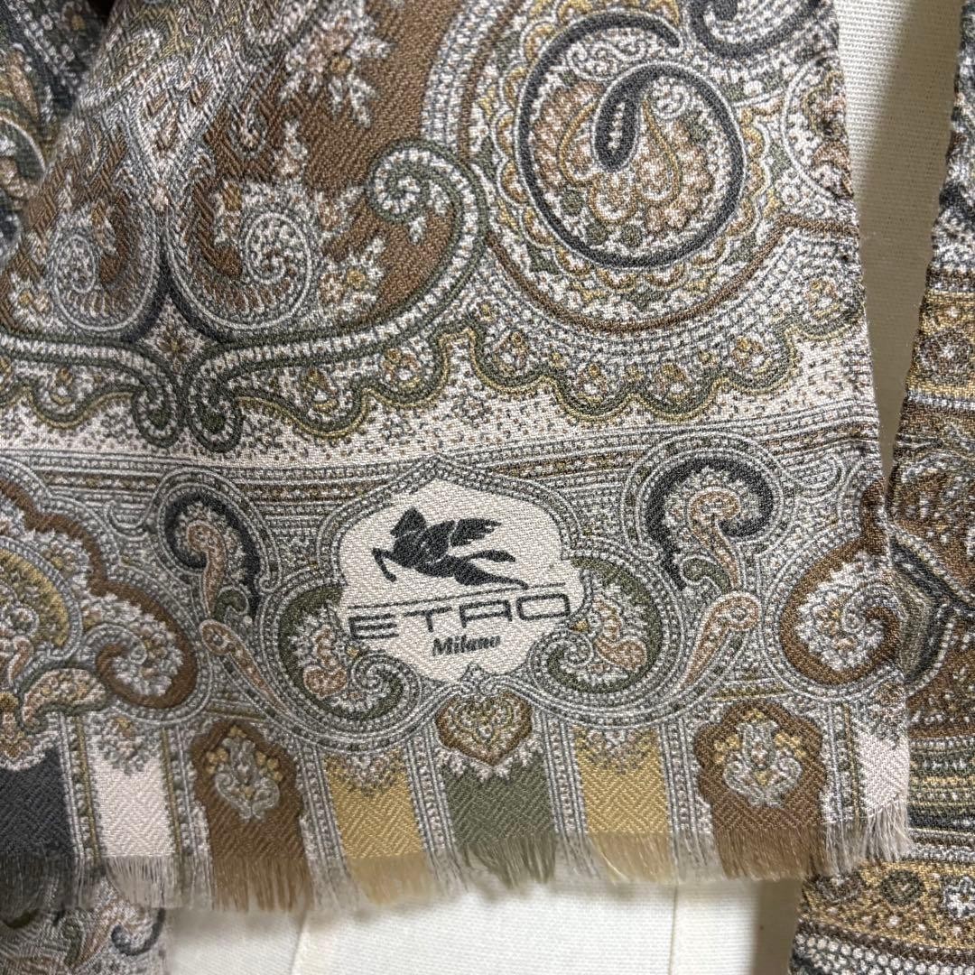 ETRO Paisley Large Rectangular Scarf - image 5