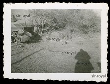 Franz. Soldatengrab bei Hotchkiss Panzer bei Poix Picardie 1940 - WK2 Foto 6x5cm