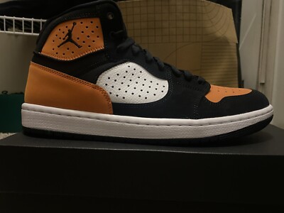 Size 8.5 - Jordan Access Shattered Backboard