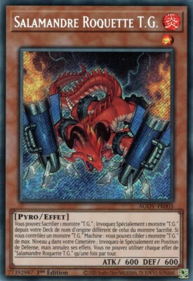 Yu Gi Oh! Deck T.G. spielbereit auf Französisch