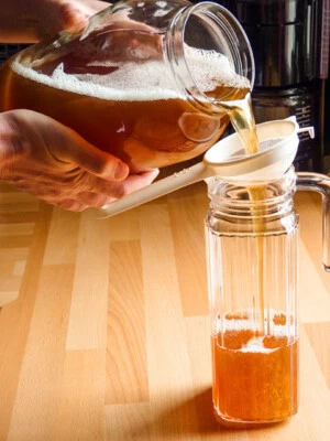 LOVEPROBIOTICS Healthy, Organic Kombucha Scoby to start making Kombucha at home. Free P&P