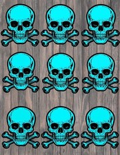 Teal Skull and Crossbones Die Cut Stickers Set Scrapbooking Laptop Waterbottle