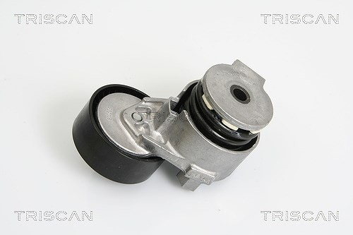 Triscan Riemenspanner, Keilrippenriemen U.A. FüR Dacia, Nissan, Renault-image