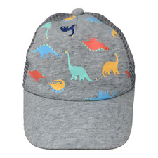 Unbranded Boy's Snapback Hat Gray Mesh Back Dinosaurs Graphic