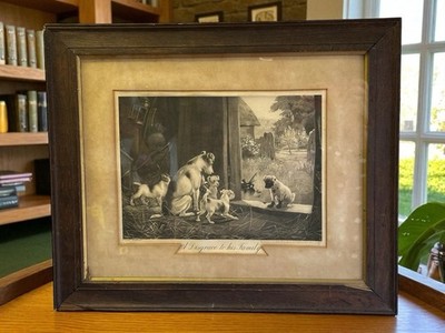 Antike Gravur - Eine Schande für seine Familie Stanley Berkeley Hund Kunst 1916 54 cm