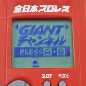 Dreamcast Visual Memory ALL JAPAN PROWRESTLING Boxed Sega Official VMU 0801 dc