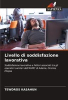 Livello Di Soddisfazione Lavorativa Tewdros Kasahun