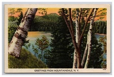 Greetings From Mountaindale New York NY Postcard 14309