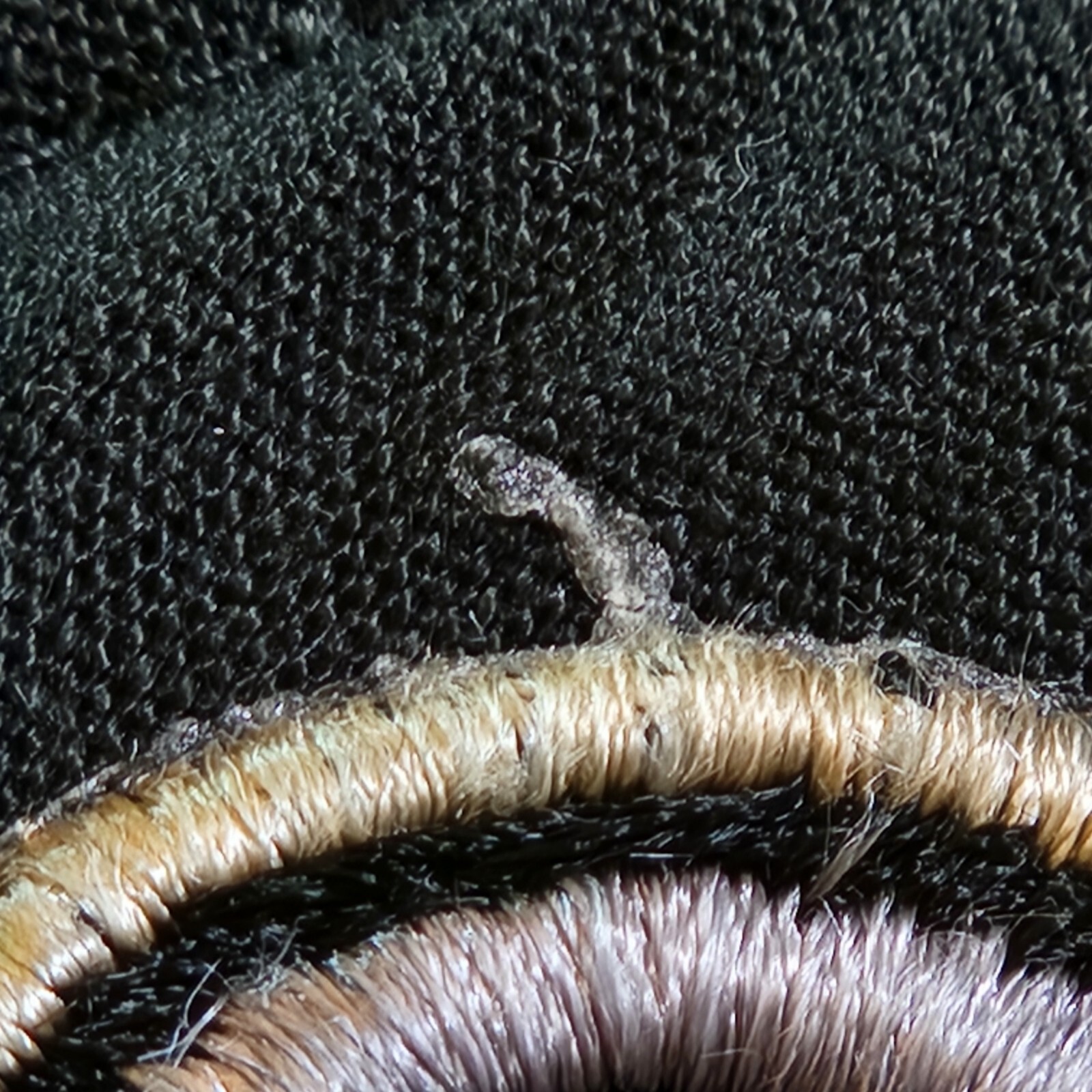 Picture 6 of 13
