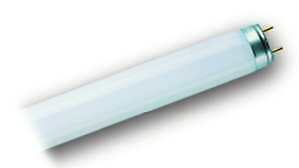 Philips 88852525 Leuchtstofflampe Master TL-D 90 Graphica 18W 965 1SL/10