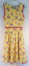 Wild Flowers La La Land Daisy  Dress Xs