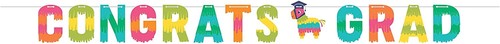Graduation Party Banner Decoration Congrats Grad Bunting CHEAP CLEARANCE BARGAIN - 第 1/1 張圖片