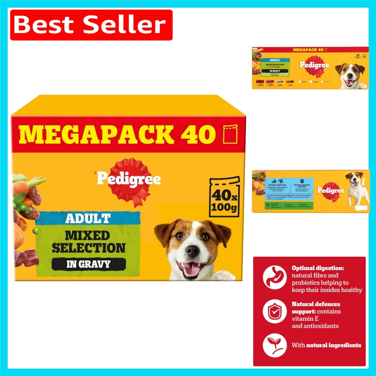 Delicious 40-Pouch Bulk Pack: Adult Dog Food in Mixed Gravy Selection