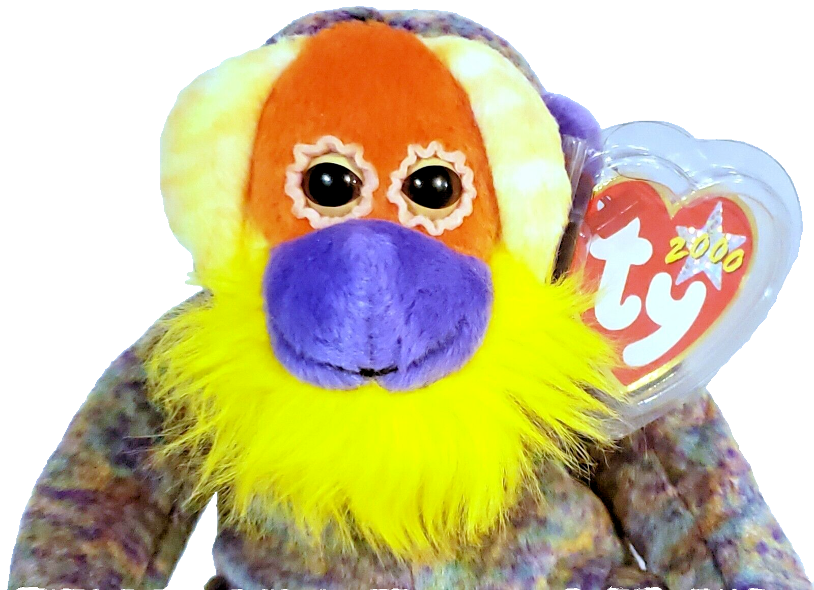 Foto 3 di 9