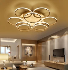 Modern LED ring ceiling lighting living room restaurant bedroom pendant lamp