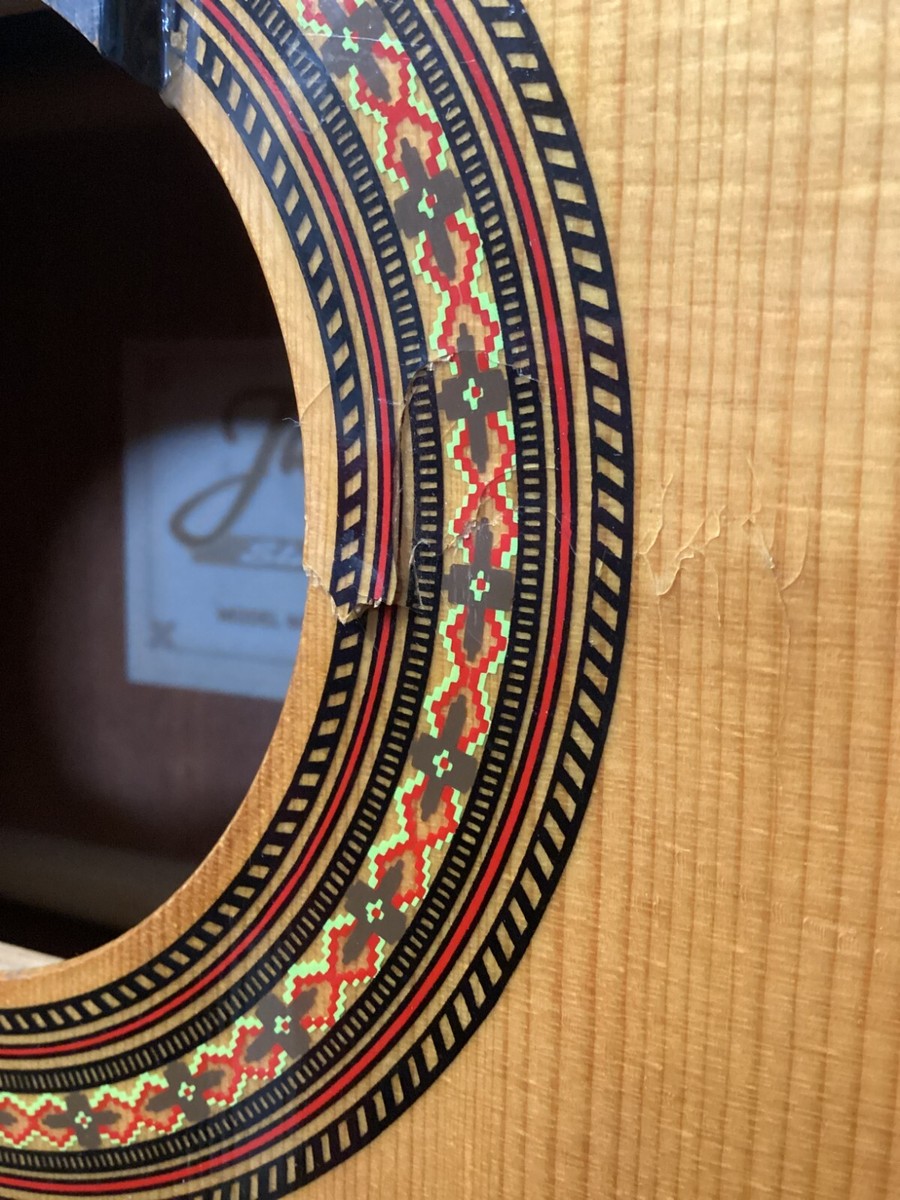 Jasmine by TAKAMINE JS341 Studio Series Acoustic Guitar Right