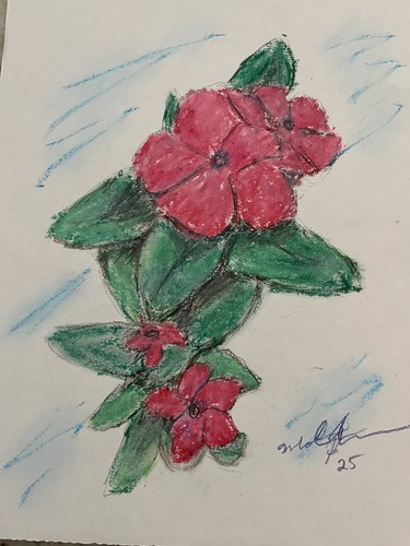 Original Öl Pastell und Bleistift Blumen.