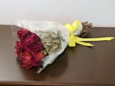 Real Air Dried 12 Red Long Stemmed Roses Flowers Bouquet 3 NEW PSJ