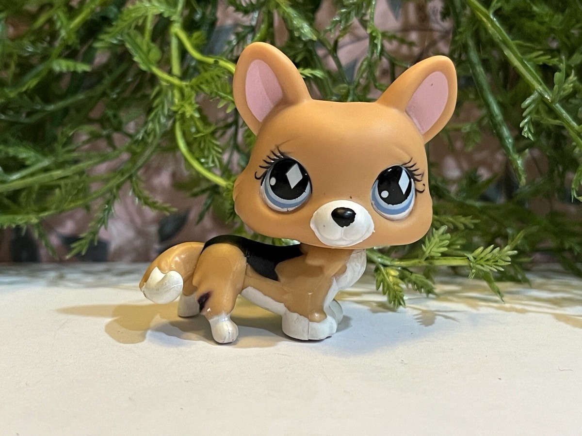 Littlest Pet Shop 639 Lps Authentic Tan Corgi Dog Diamonds Blue