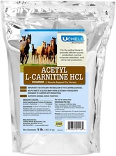 Acetyl L-Carnitine HCL Powder Horse Energy Supplement & Muscle Supplement - 1 lb