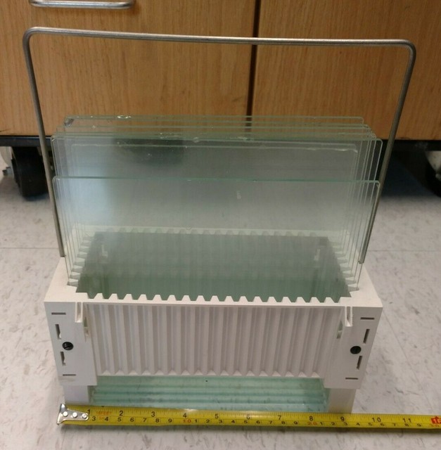 BioRad OEM Gel Electrophoresis Glass Plate w Stand eBay