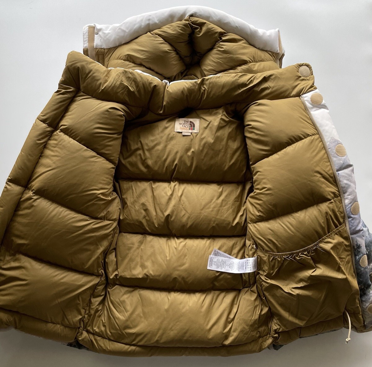 THE NORTH FACE x GUCCI ダウンジャケットヌプシ The North Face x Gucci 700 Fill Down Forest Jacket | eBay