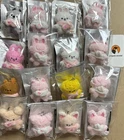 Stray Kids 6TH FANMEETING STAY in Our Little House SKZOO SECRET PLUSH MICRO VER.