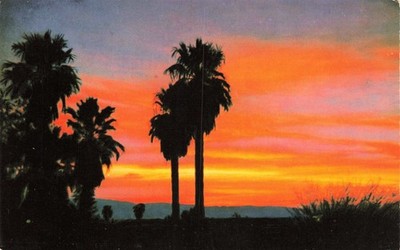 AZ Sundown in The Southwest Arizona Postcard AJ/27