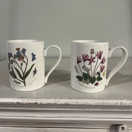 Vintage Portmeirion Botanic Garden Mugs Set of 2 Floral Pattern 