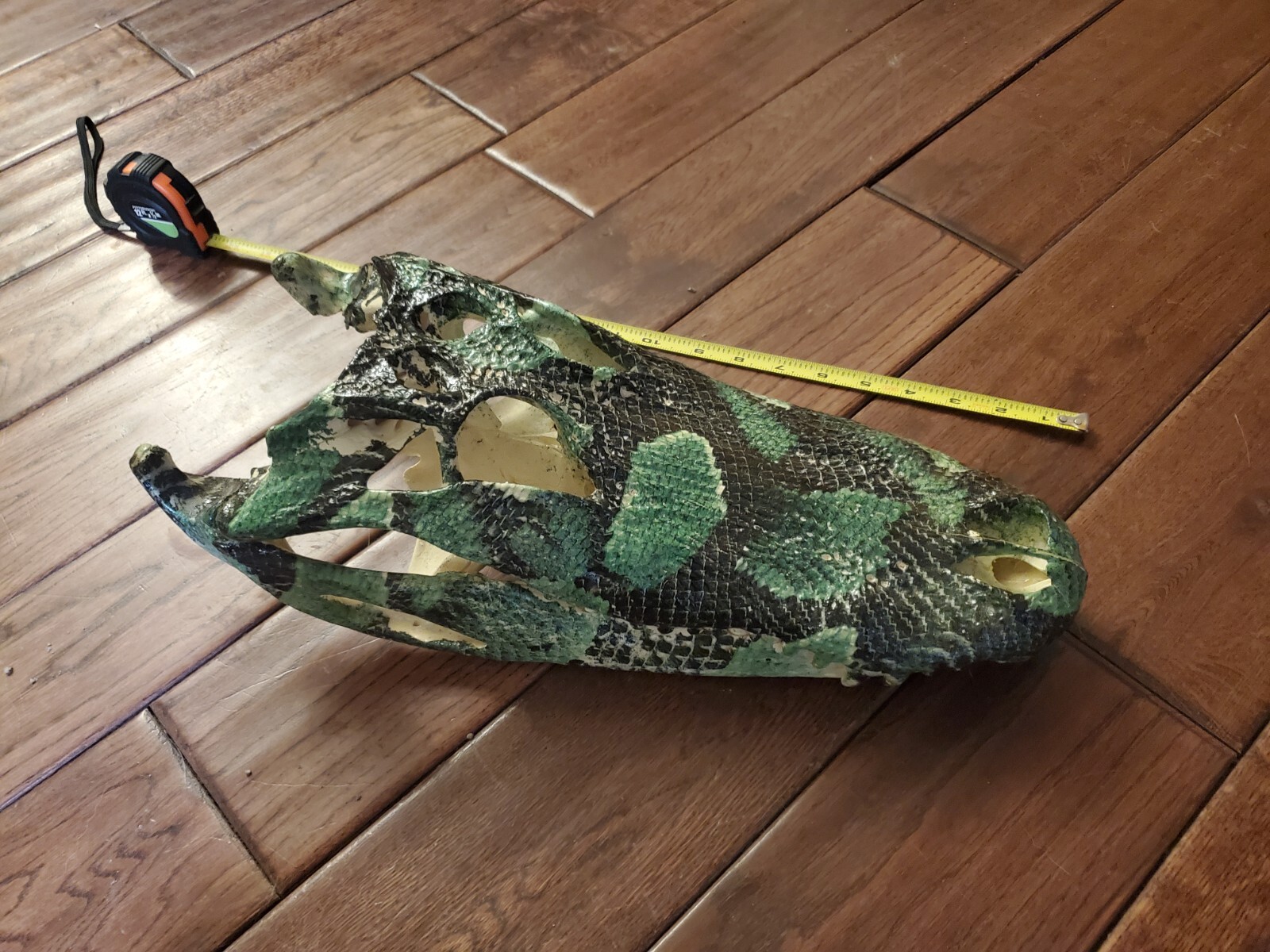 Alligator skull, hydro dipped, 9' gator, REAL, taxidermy, mounts eBay