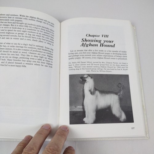 This Is The Afghan Hound - Joan McDonald Brearley - 1965 Very Good Copy - Picture 10 of 12