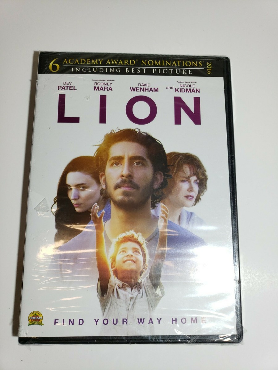 ライオンたちとイングリッシュ Between the Lion DVD6枚セット ライオンたちとイングリッシュ Between the Lion DVD6枚セット
